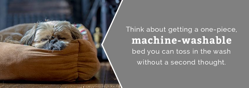 Consider a machine-washable pet bed.