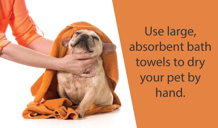 Best Towels for Pets