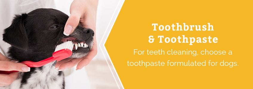 Toothbrush & Toothpaste