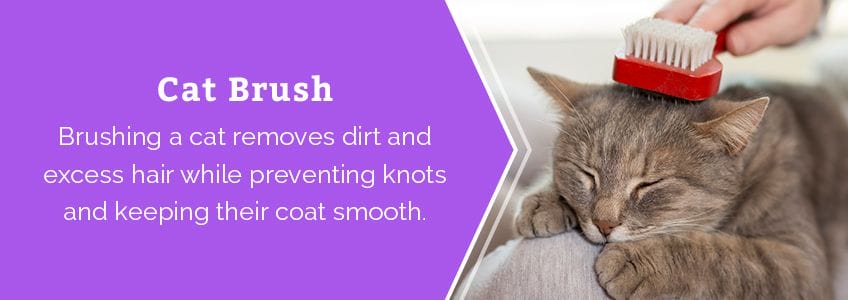 Cat Brush
