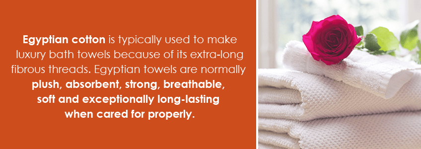 Egyptian Cotton