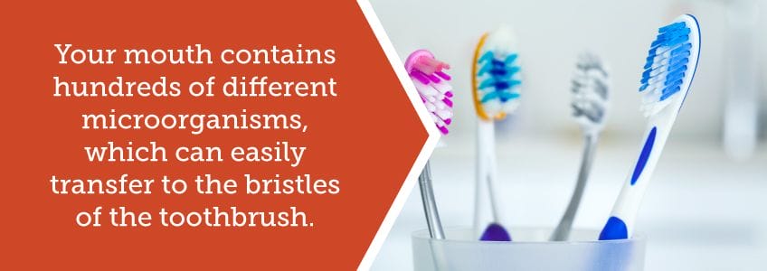 Microorganisms in your mouth can transfer to your toothbrush.